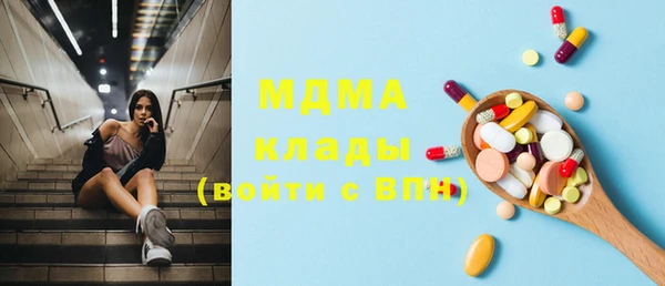 индика Надым