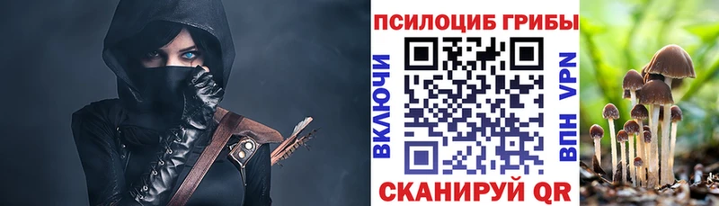 хочу   Шали  сайты даркнета телеграм  Псилоцибиновые грибы GOLDEN TEACHER 